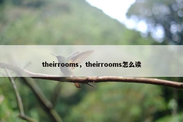 theirrooms，theirrooms怎么读