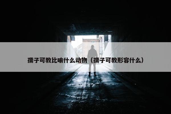 孺子可教比喻什么动物（孺子可教形容什么）