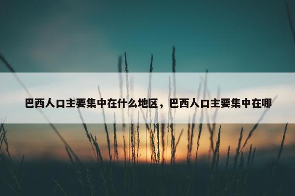 巴西人口主要集中在什么地区，巴西人口主要集中在哪