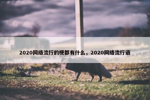 2020网络流行的梗都有什么，2020网络流行语