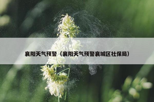 襄阳天气预警（襄阳天气预警襄城区社保局）