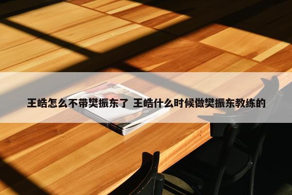 王皓怎么不带樊振东了 王皓什么时候做樊振东教练的