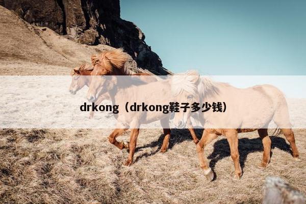 drkong（drkong鞋子多少钱）