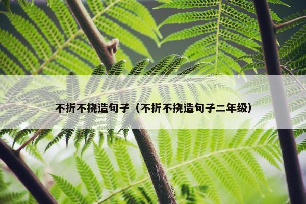 不折不挠造句子（不折不挠造句子二年级）