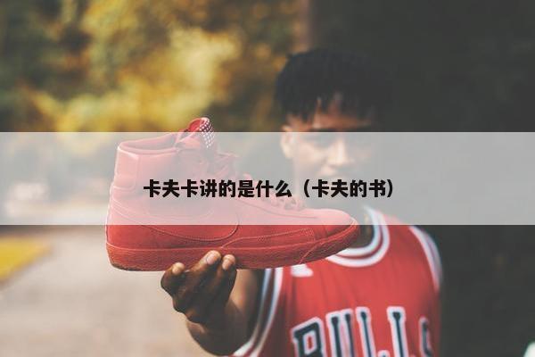 卡夫卡讲的是什么（卡夫的书）