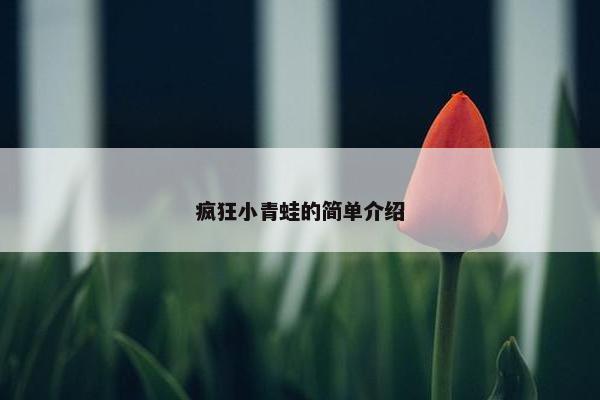 疯狂小青蛙的简单介绍