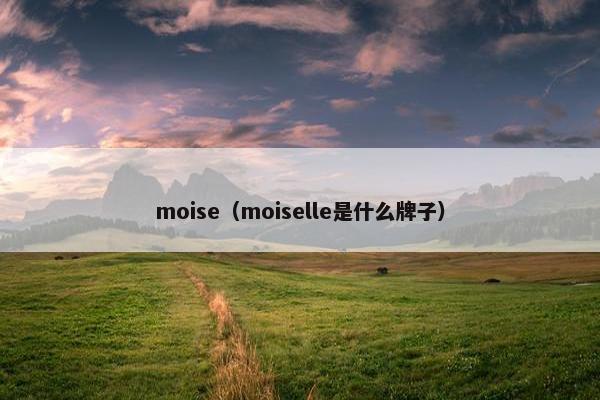 moise（moiselle是什么牌子）