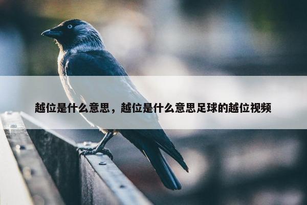 越位是什么意思，越位是什么意思足球的越位视频