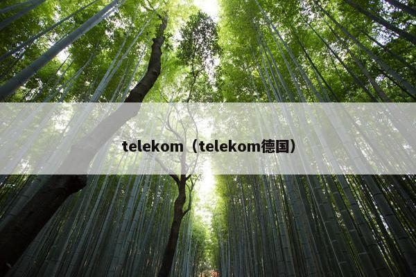 telekom（telekom德国）