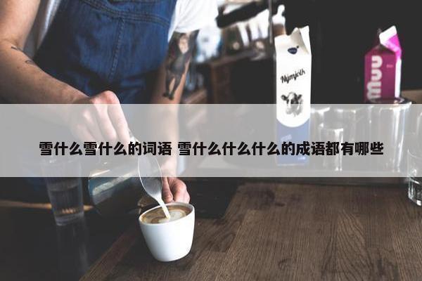 雪什么雪什么的词语 雪什么什么什么的成语都有哪些