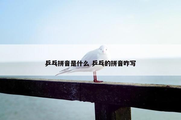 乒乓拼音是什么 乒乓的拼音咋写