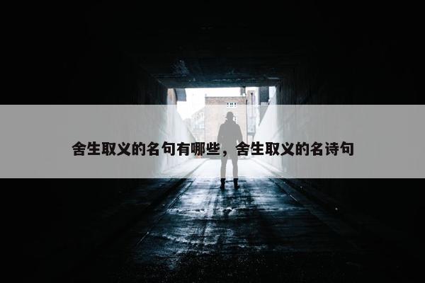 舍生取义的名句有哪些，舍生取义的名诗句