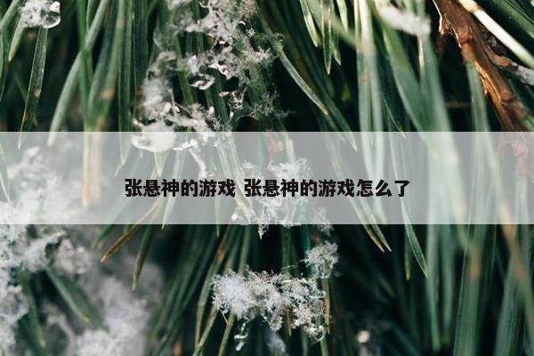 张悬神的游戏 张悬神的游戏怎么了