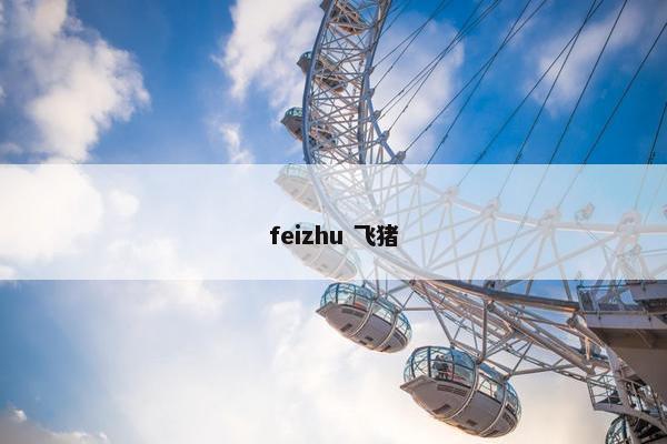 feizhu 飞猪