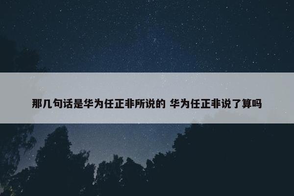 那几句话是华为任正非所说的 华为任正非说了算吗