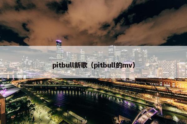 pitbull新歌（pitbull的mv）