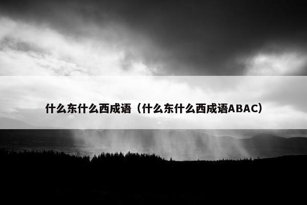 什么东什么西成语（什么东什么西成语ABAC）