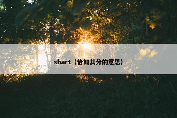 shart（恰如其分的意思）