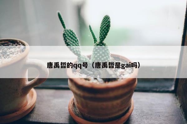 唐禹哲的qq号（唐禹哲是gai吗）