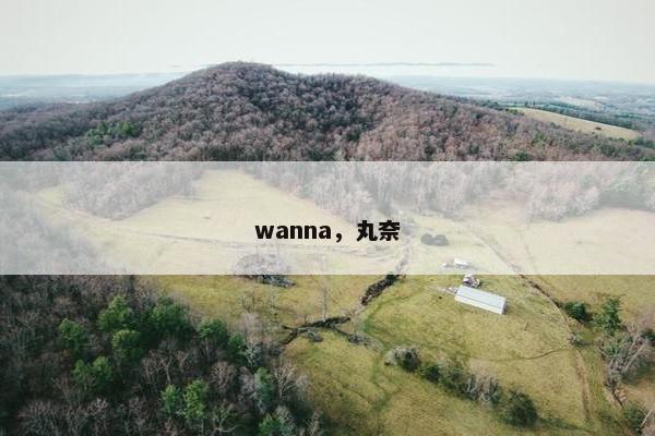 wanna，丸奈