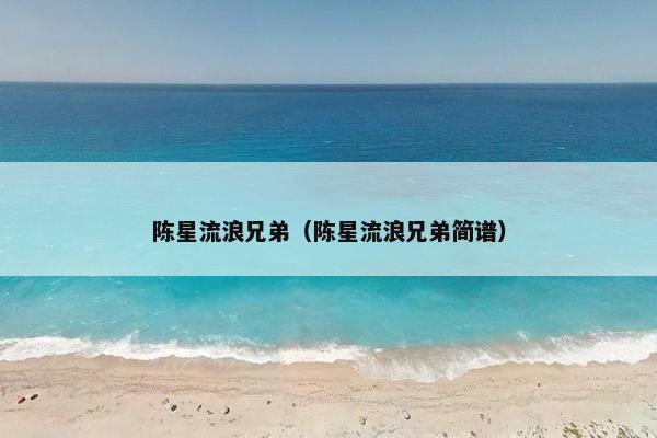 陈星流浪兄弟（陈星流浪兄弟简谱）