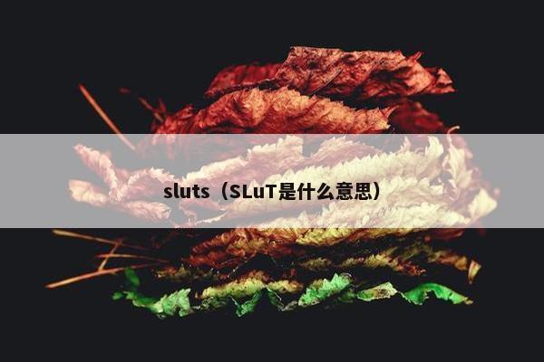 sluts（SLuT是什么意思）