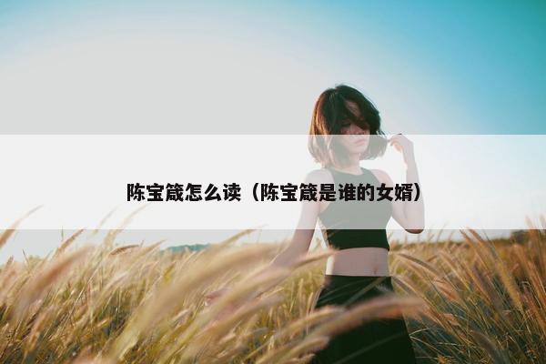 陈宝箴怎么读（陈宝箴是谁的女婿）