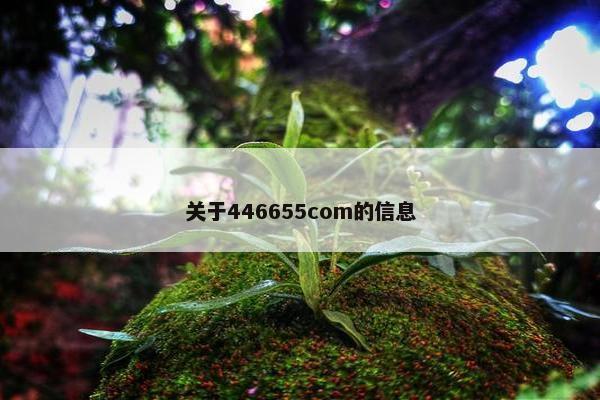 关于446655com的信息