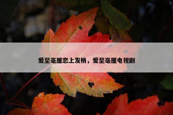 爱至毫厘恋上发梢，爱至毫厘电视剧