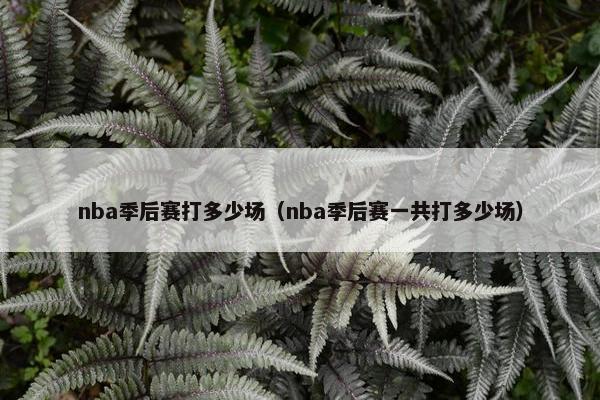 nba季后赛打多少场（nba季后赛一共打多少场）