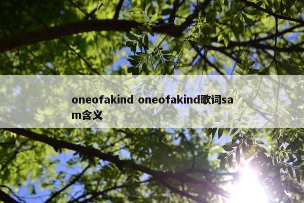 oneofakind oneofakind歌词sam含义