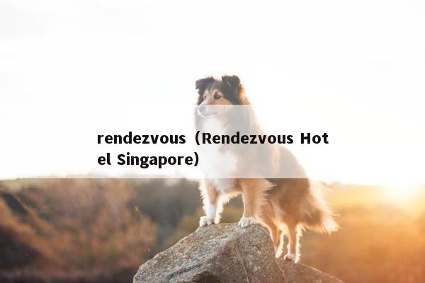 rendezvous（Rendezvous Hotel Singapore）