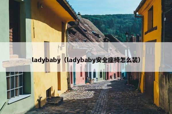 ladybaby（ladybaby安全座椅怎么装）