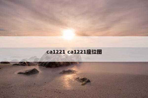 ca1221 ca1221座位图