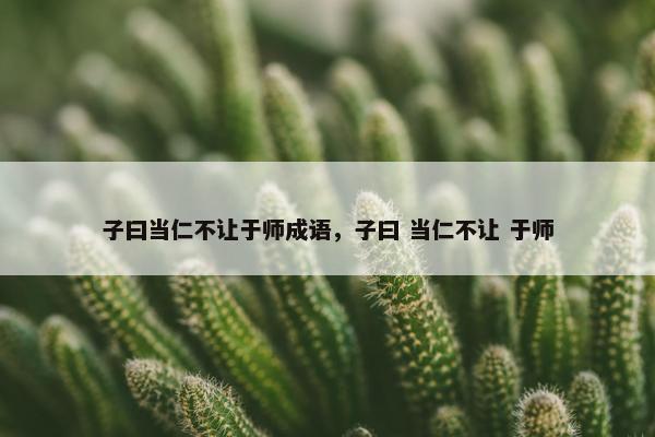 子曰当仁不让于师成语，子曰 当仁不让 于师