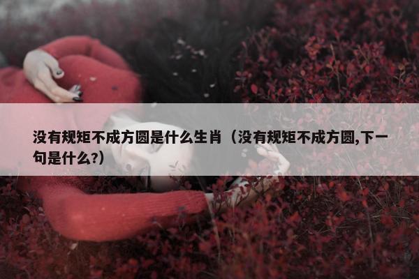 没有规矩不成方圆是什么生肖（没有规矩不成方圆,下一句是什么?）