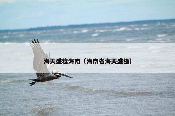 海天盛筵海南（海南省海天盛筵）