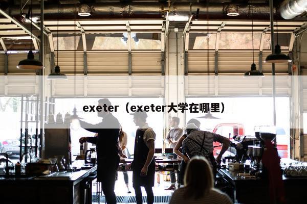 exeter（exeter大学在哪里）