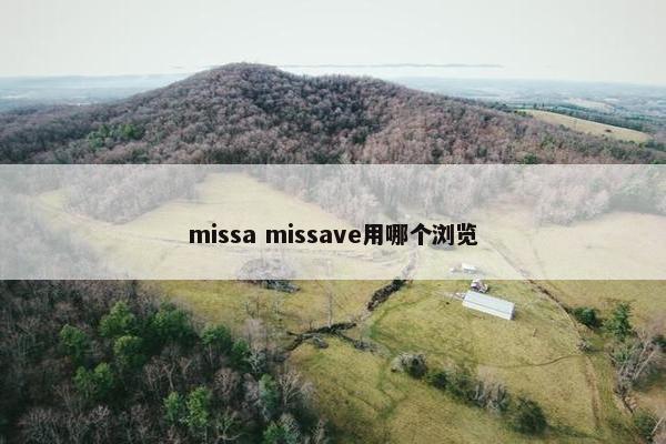 missa missave用哪个浏览