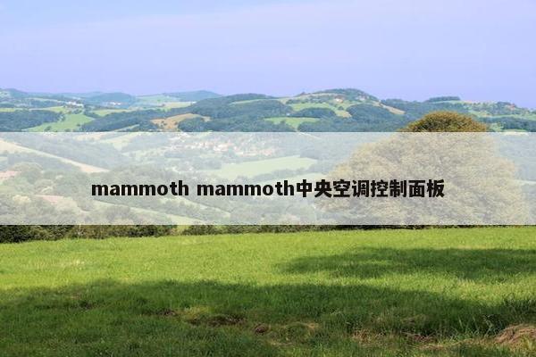 mammoth mammoth中央空调控制面板