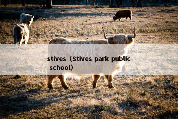 stives（Stives park public school）