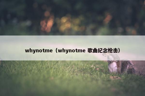 whynotme（whynotme 歌曲纪念枪击）