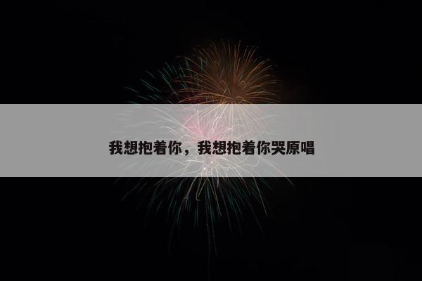 我想抱着你，我想抱着你哭原唱