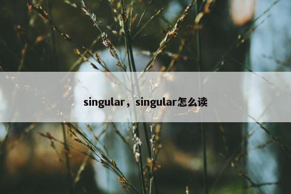 singular，singular怎么读