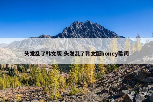 头发乱了韩文版 头发乱了韩文版honey歌词