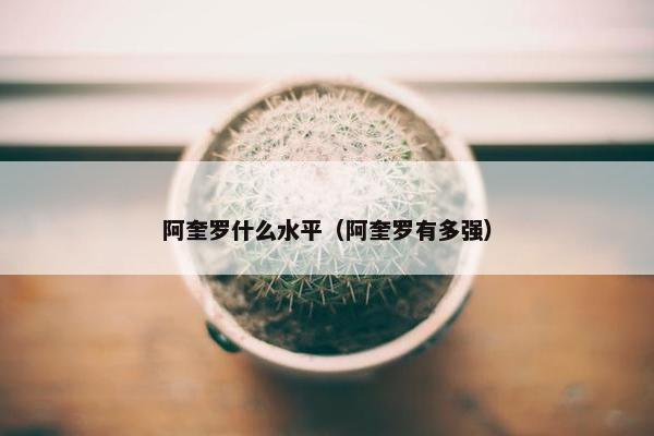 阿奎罗什么水平（阿奎罗有多强）