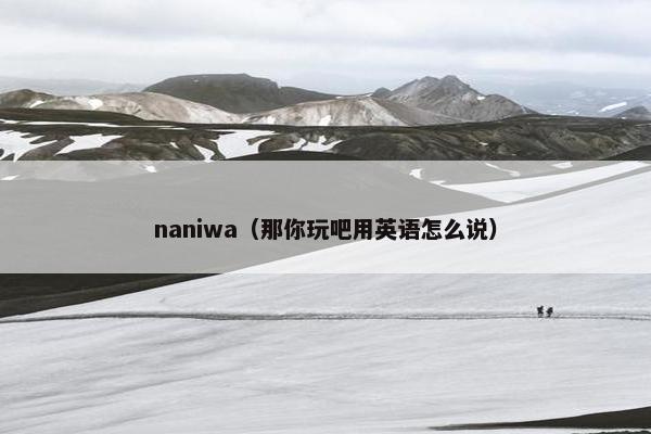 naniwa（那你玩吧用英语怎么说）