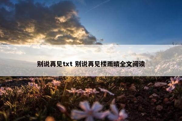 别说再见txt 别说再见楼雨晴全文阅读