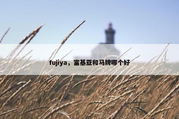 fujiya，富基亚和马牌哪个好