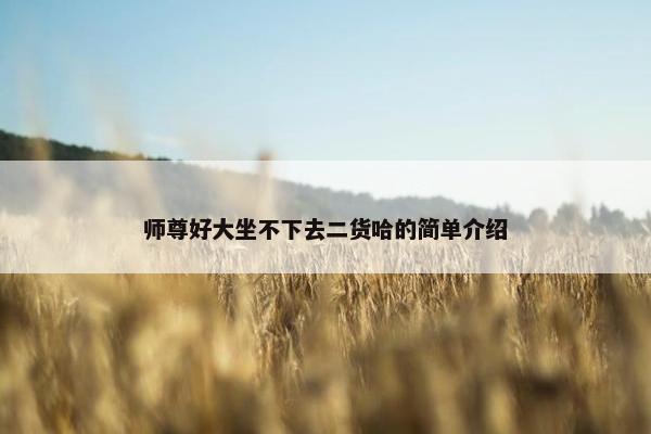 师尊好大坐不下去二货哈的简单介绍